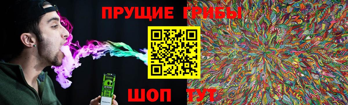 закладка  Вход с VPN  Мирный  Галлюциногенные грибы Psilocybine cubensis 