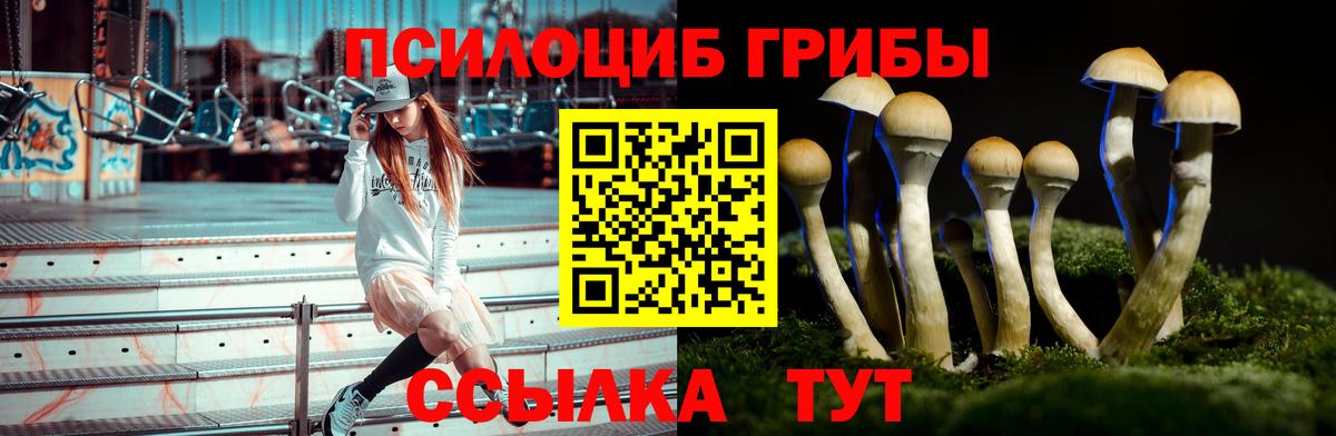 Псилоцибиновые грибы мицелий Мирный